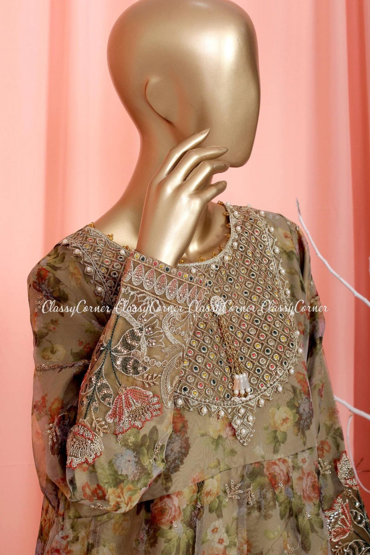 Beige Organza Pakistani Dress