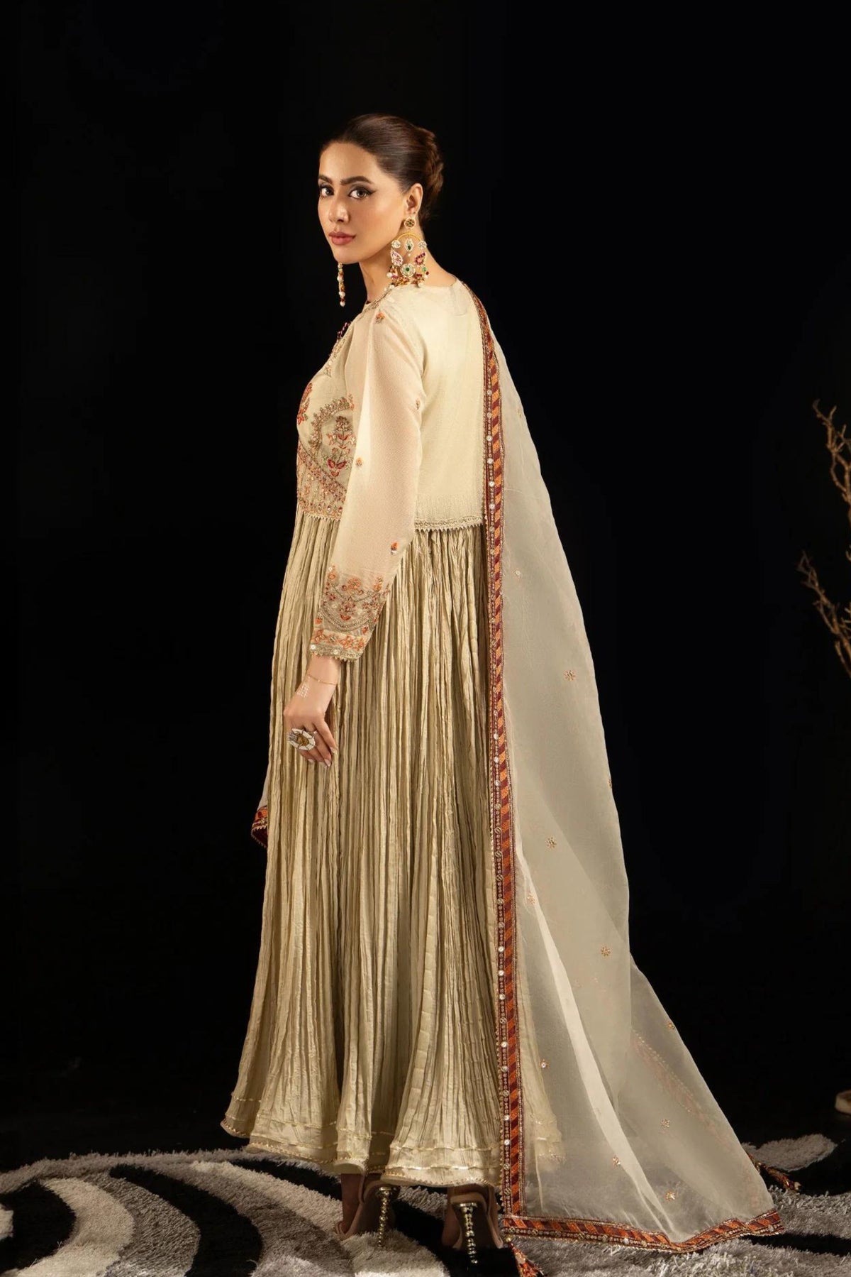 Pakistani Partywear Wear Dresses