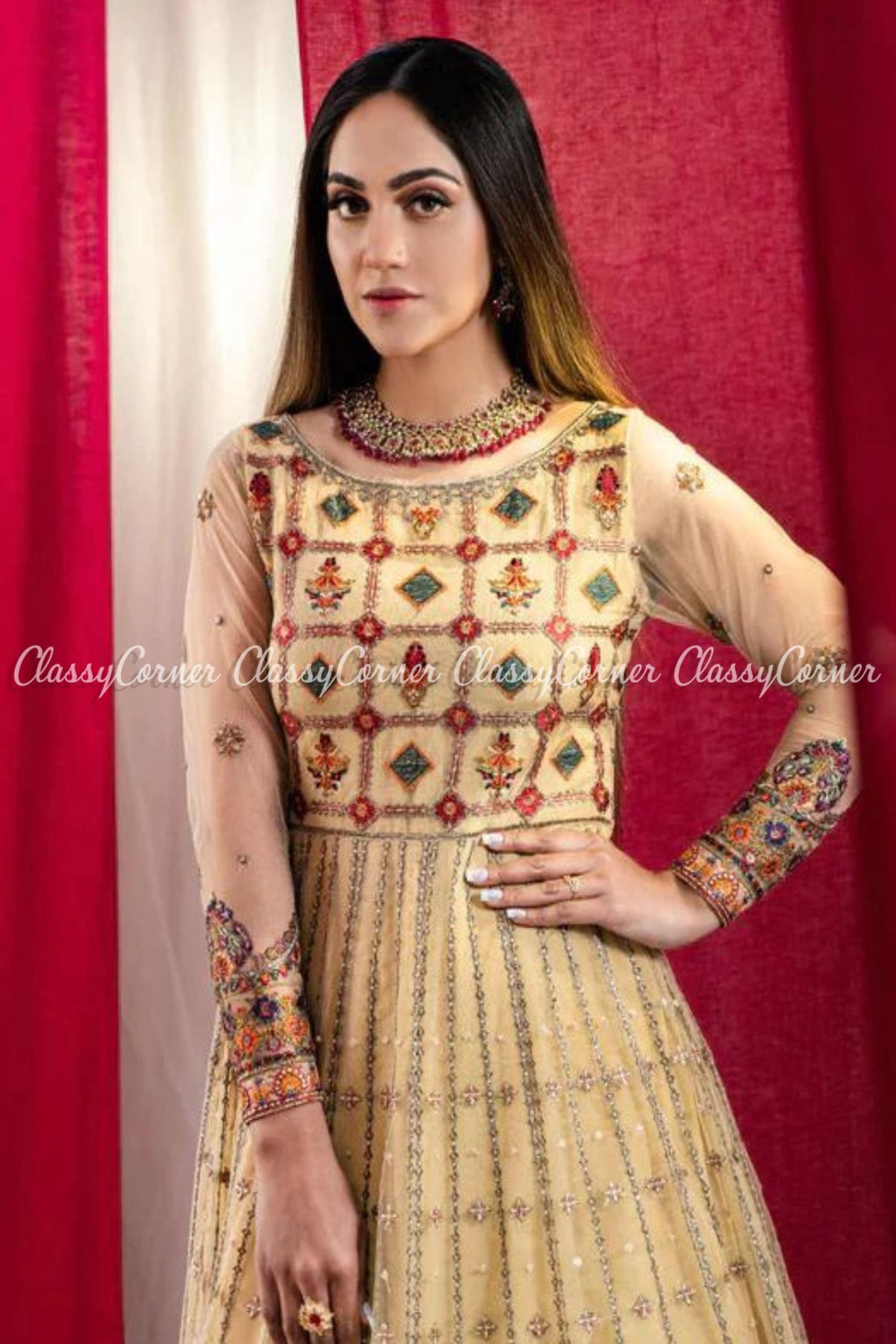 Pakistani Beige Multicolor Net Embroidered Gown