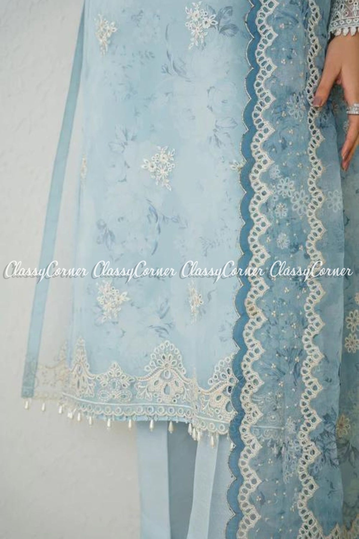 Sky Blue Organza Salwar Kameez