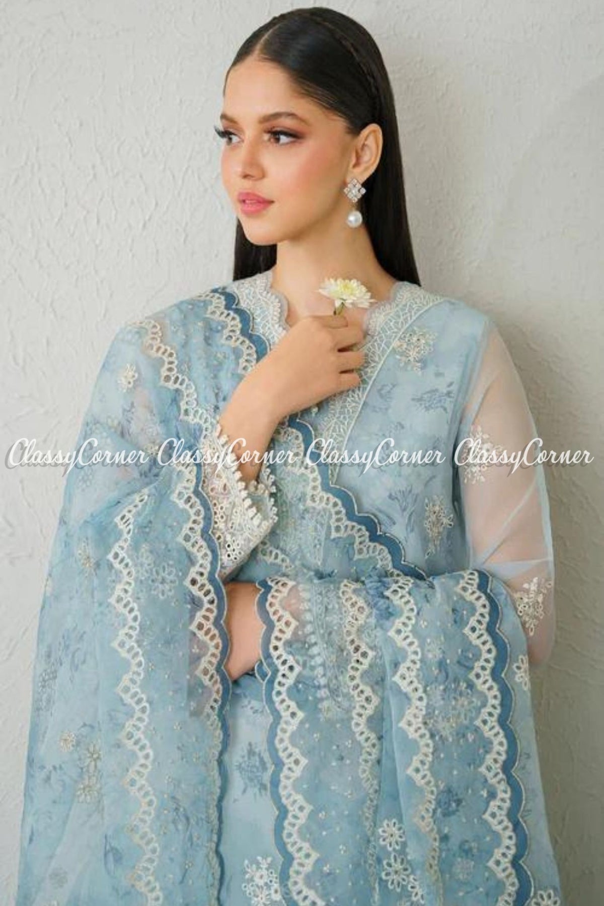 Sky Blue Organza Salwar Kameez