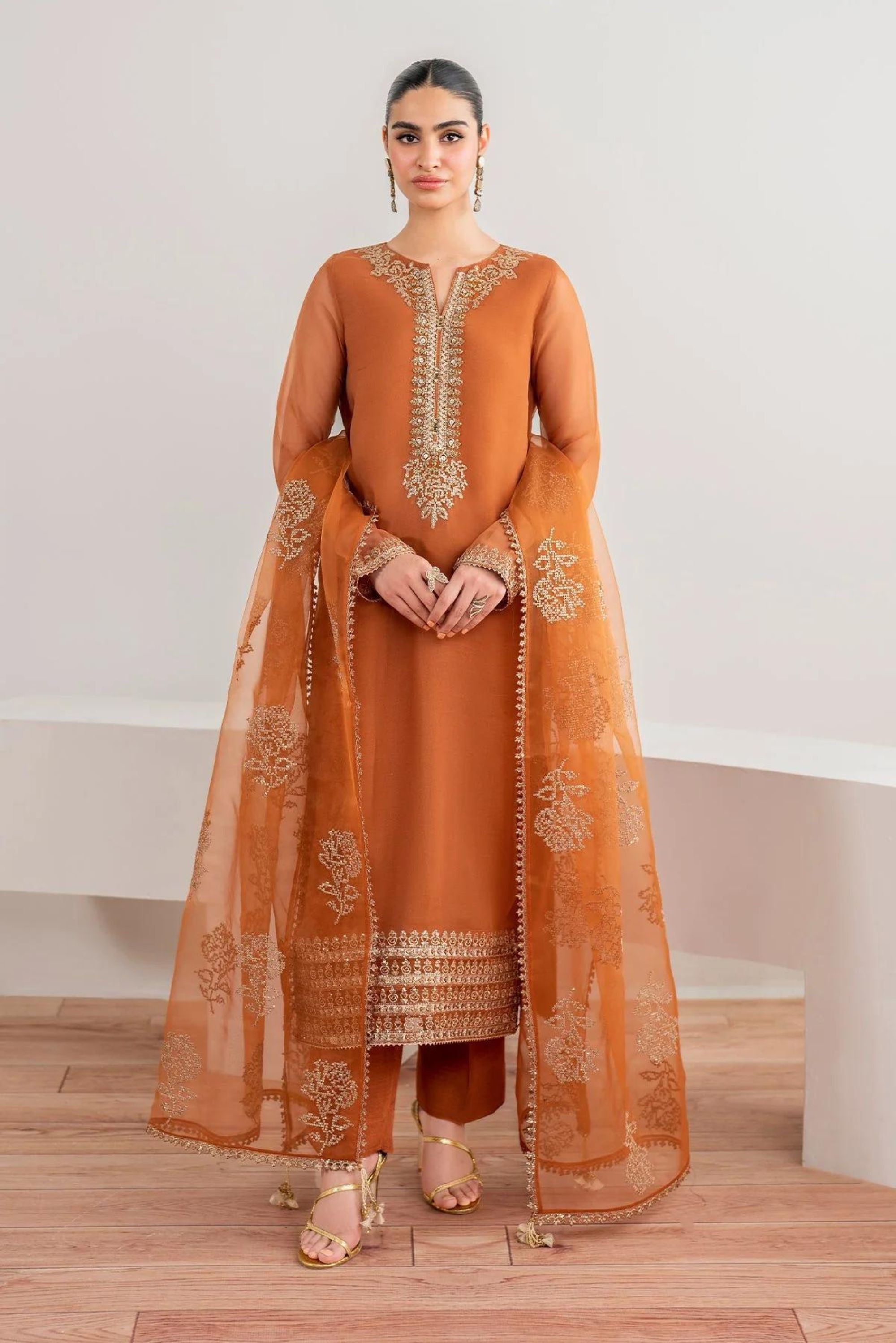 Pakistani Wedding Women Outfits