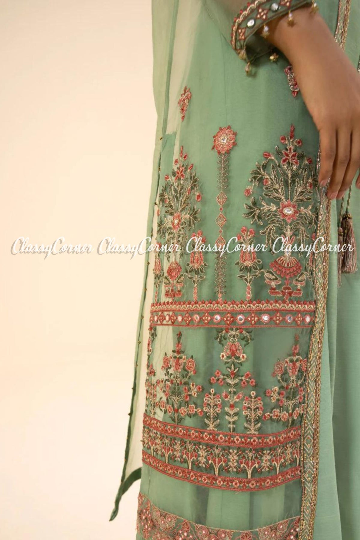 Pastel Green Organza Embroidered Pakistani Salwar Kameez