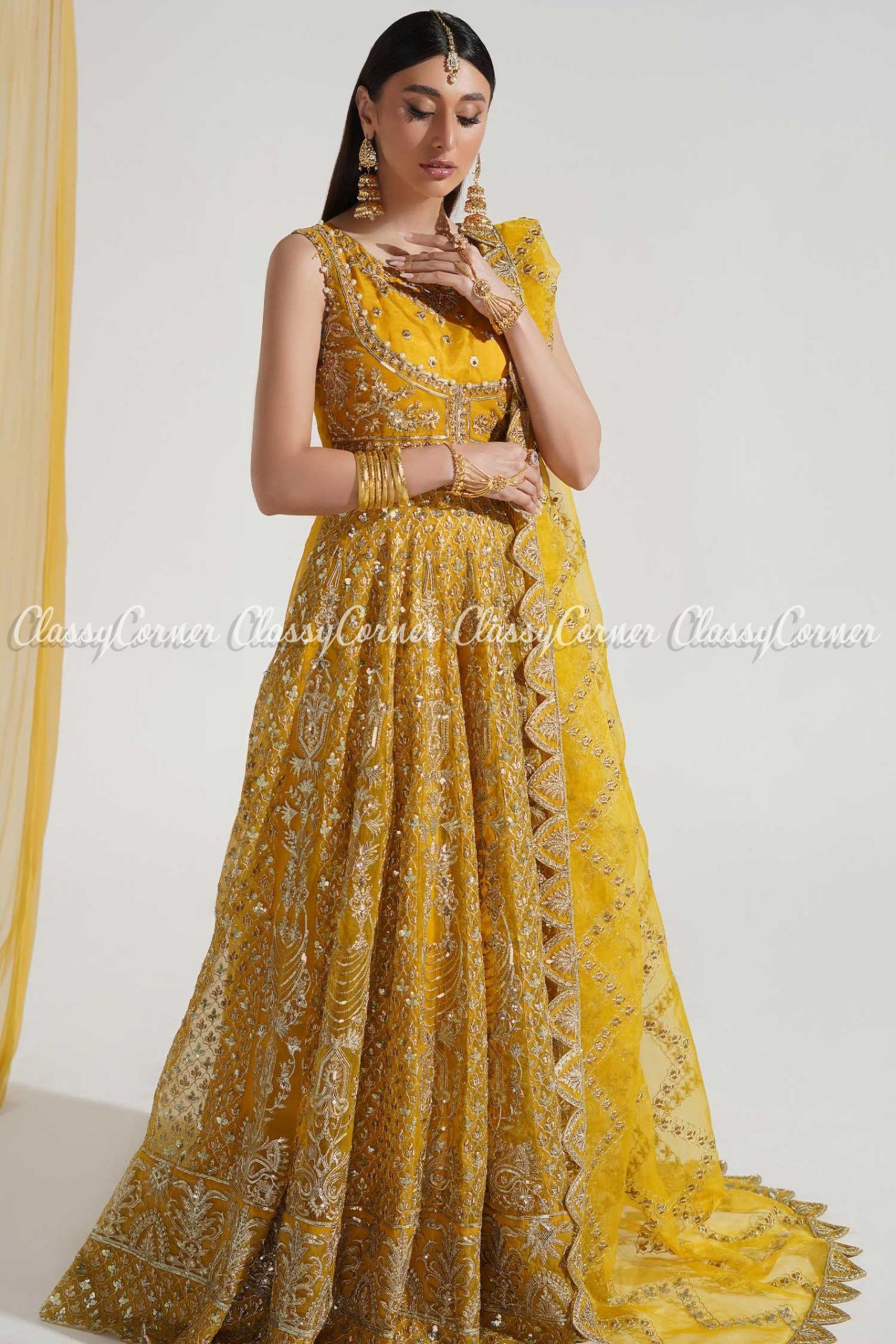 Pakistani Bridal Lehenga Collection: Traditional Elegance Meets Modern  Style - Classy Corner