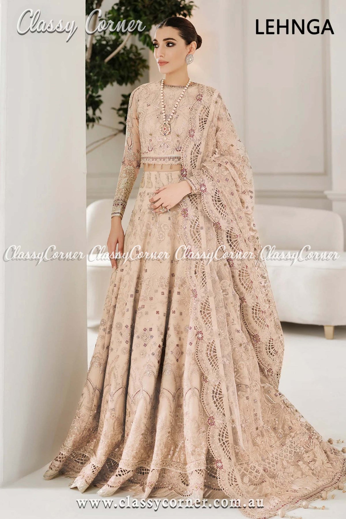 Pakistani Beige Net Embroidered Outfit