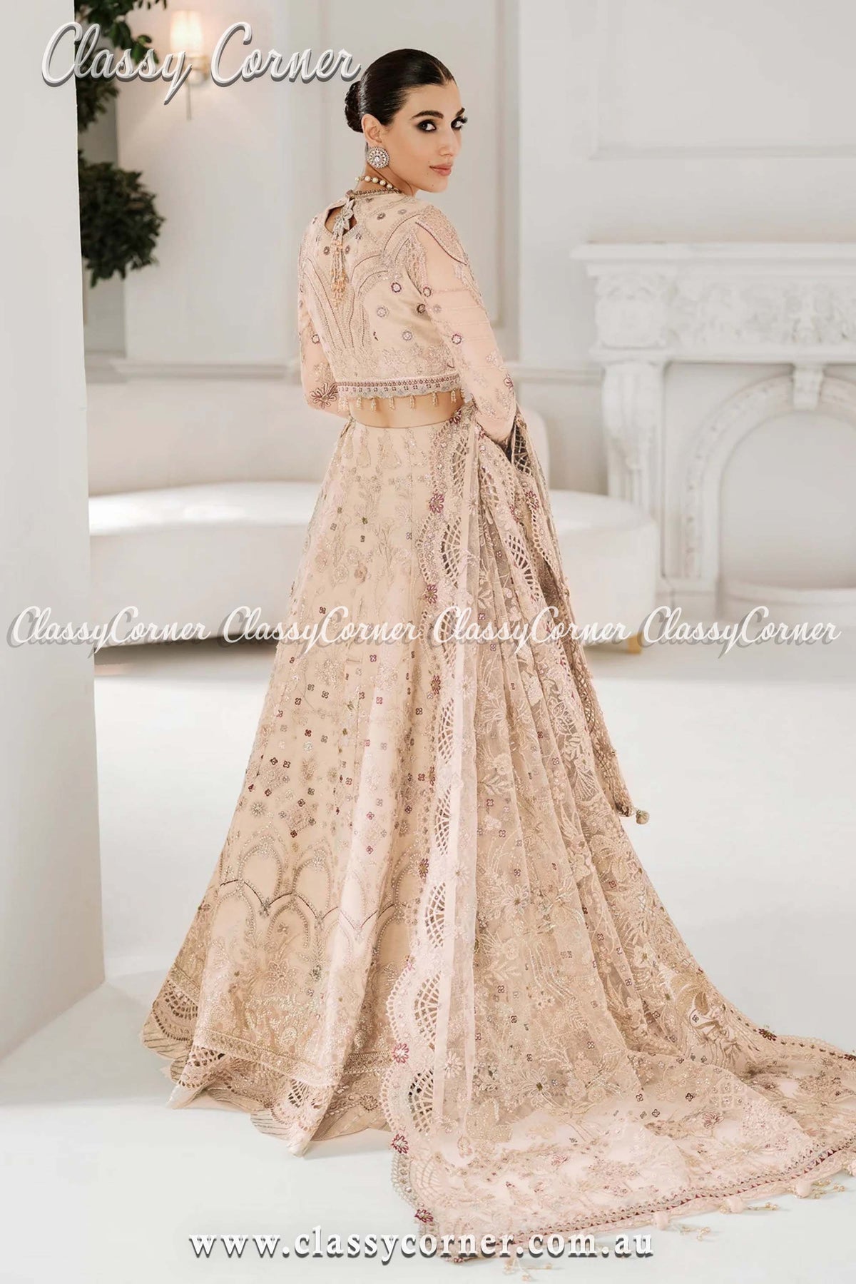 Pakistani Beige Net Embroidered Outfit