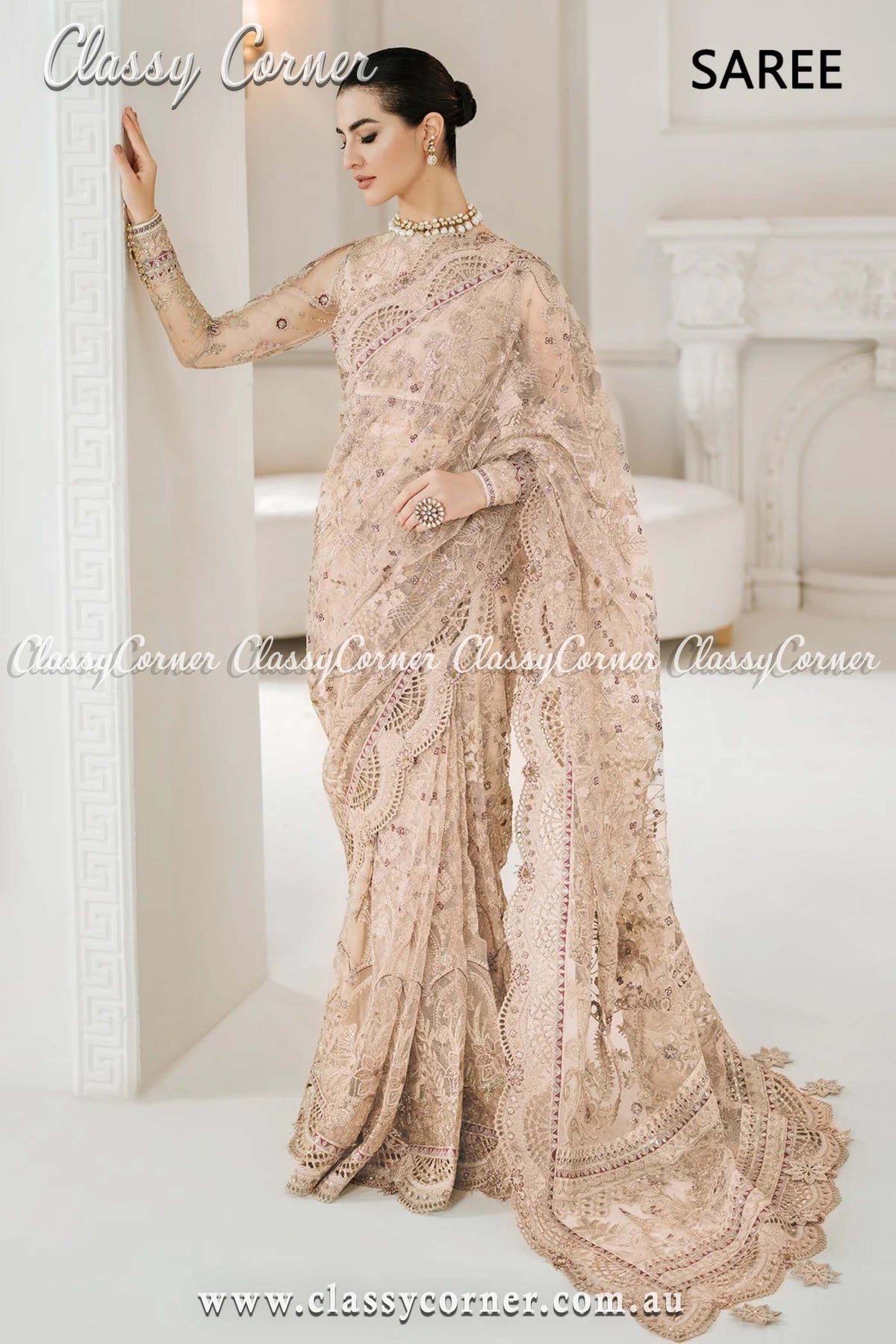 Pakistani Beige Net Embroidered Outfit