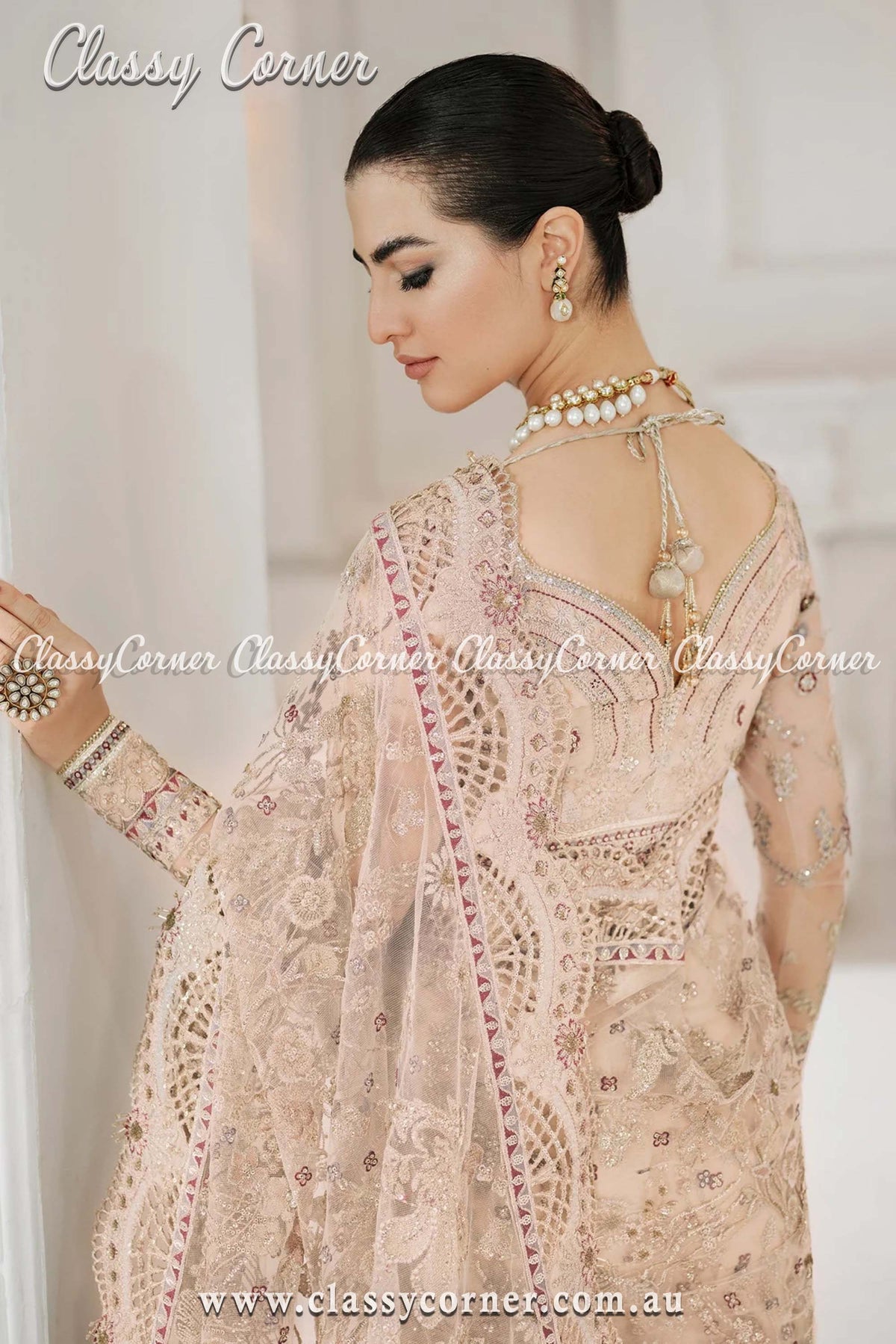 Pakistani Beige Net Embroidered Outfit