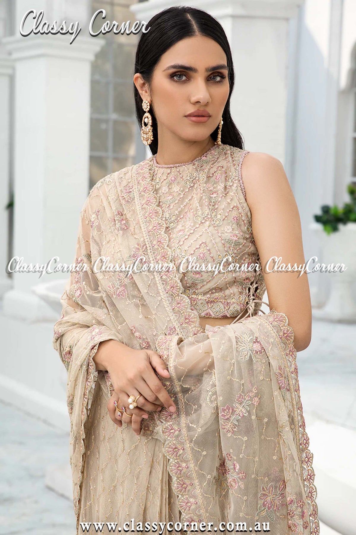 Skin Beige Embroidered Net Pakistani Gown Saree